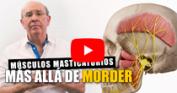 Más allá de morder: la importancia de los músculos masticatorios